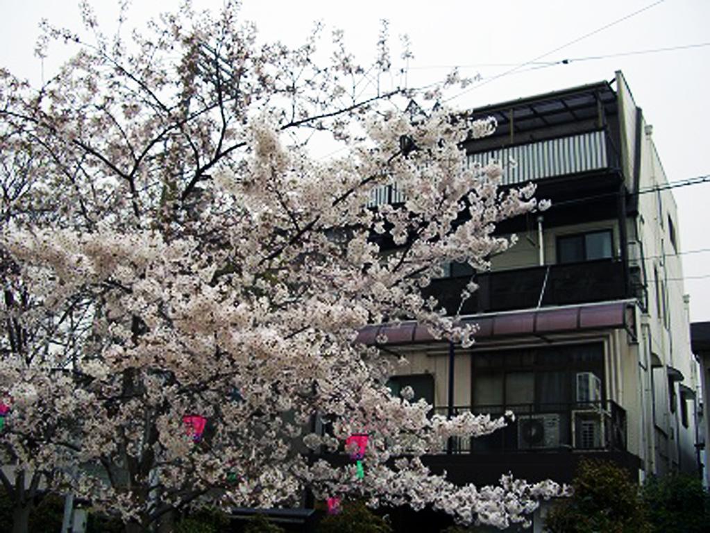 W.K Inn Osaka Buitenkant foto